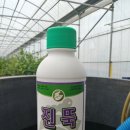 제이디피모터스 오라 이미지
