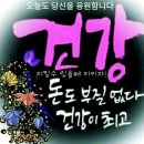 용각산! 코로나 예방과 치료에 모두 효과 이미지