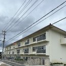 수리의 왕국 | [일본] 오키나와 슈리성 입장료 비용 주차 꿀팁 및 수리, 11월 기준 공사 현황