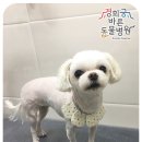 경희궁 바른 동물병원 이미지