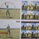 수목 스크린 이미지