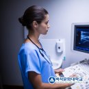 하나방사선과 네이버블로그