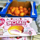 장터소비자마트 | 울산 배민 B 마트 장보기 배달의민족 엄청 빠른 온라인 장터 이용 후기