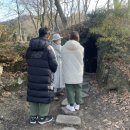 관음사의 왕벚나무자생지 | Jeju Gwaneumsa, Hallasan Mountain