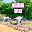 여주나무요양병원 | 암 치료 체력은 '숲길 걷기'에서, 여주암요양병원