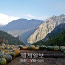 여행천국 - 제주시 오일장동길 36 | 여행천국