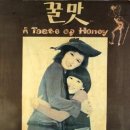 그레이스Grace美 뉴시스