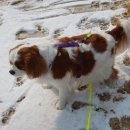 별내역사문화공원[별내-5] 이미지