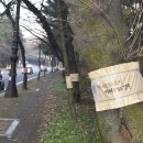 포시즌호스텔 이미지