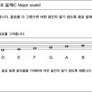 [리뉴얼] 둠바곰돌 음악이론 24. 장음계 온음 반음 연습: 예) 다장조 음계(C Major scale) 이미지