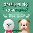 정성예