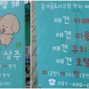 피개행개 이미지
