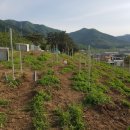 남산태양광발전소 이미지