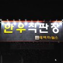 태백하늘소 이미지