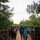 서리풀길 9 이미지