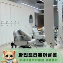 서대문역미용실 파인트리 헤어살롱 아베다 염색 후기
