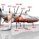 팀JJ피트니스 이미지