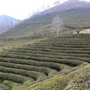 봉곡평생교육센터 이미지