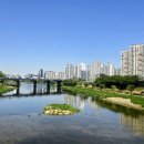 대국