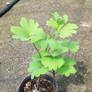 청한농장 이미지