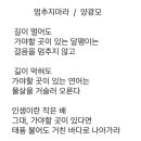 오늘의 小史 이미지