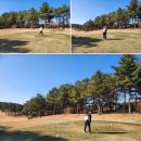 한성cc 모임 후기~🌴🌴🌴