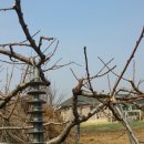 일철농장 이미지