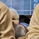 주안역사 | 주안맛집 숙성가, 설 가족모임으로 다녀온 솔직 후기