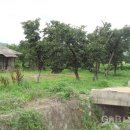 화동마을회관 이미지