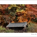 보덕사해우소 이미지