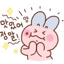 성희식품