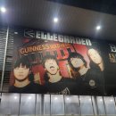 250321 엘르가든 내한 콘서트 In Seoul / 동경하는 사람이 생겼어요