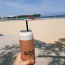 [일상 속 쉼표] 포항1박 혼자여행(카셰어링, 해안가드라이브, 여행코스추천)