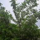 5앤5 당구장 이미지