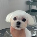 에브리 뽀송 이미지