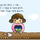 창조악기 이미지