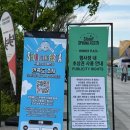 서울 가볼만한 곳) 광화문광장 서울 스프링 페스타