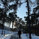 블랙트리하우스 | 인천 영흥도 블랙트리하우스ㅣ눈 호강 제대로 하고 온 대부도 독채펜션