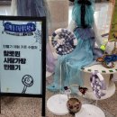 예술극장, 보물찾기 -썸머할로윈 이미지