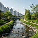 노블레스약국