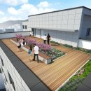 이더펠리체 이미지