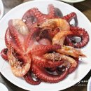 엉터리식당 이미지