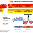 Epileptoid Crisis 간질성 위기 이미지