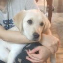 양평가축병원 이미지