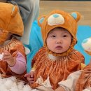 딩동댕 플레이 키즈스쿨(8~14개월) 이미지