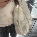 평화동물병원 | 강아지가 먹으면 안되는 음식 탑3중 1나개 먹음 - 강아지 마카다미아 섭취 후 청담우리동물병원 처치후기