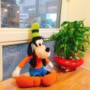 카페12월32일 이미지