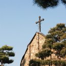 뽑기구역 이미지