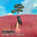 농협경제지주 안성팜랜드 승마센터 이미지