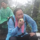 백두대간로 이미지